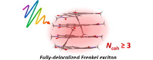 Ultrafast Exciton Delocalization, Localization, and Excimer Formation Dynamics in a Highly Deﬁned Perylene Bisimide Quadruple π‑Stack