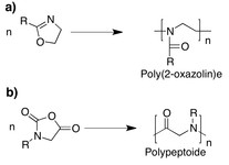 Abbildung 2: Schematische Darstellung von Poly(2-oxazolin)en (a) und Polypeptiden (b)