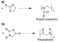 Abbildung 2: Schematische Darstellung von Poly(2-oxazolin)en (a) und Polypeptiden (b) - Abbildung 2: Schematische Darstellung von Poly(2-oxazolin)en (a) und Polypeptiden (b) Abbildung 2: Schematische Darstellung von Poly(2-oxazolin)en (a) und Polypeptiden (b)