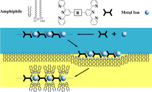 Fig. 2: Schematic of the formation of PACs from MEPEs and amphiphiles at the phase interface