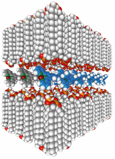 Fig. 3: Molecular model of a PAC