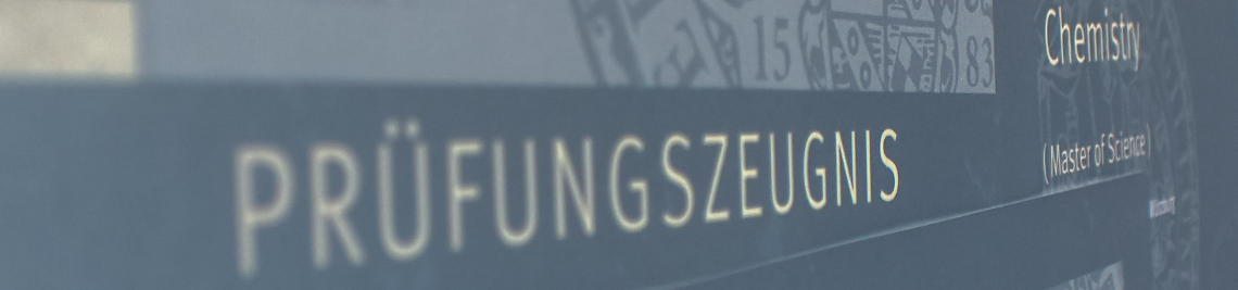 Logo Prüfungsausschuss