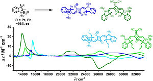 Chiroptical Properties of Indolenine Squaraines with a Stereogenic Center at Close Proximity