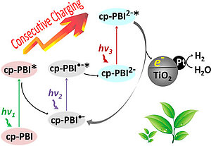 Consecutive Charging of a Perylene Bisimide Dye by Multistep Low-Energy Solar-Light-Induced Electron Transfer Towards H2 Evolution