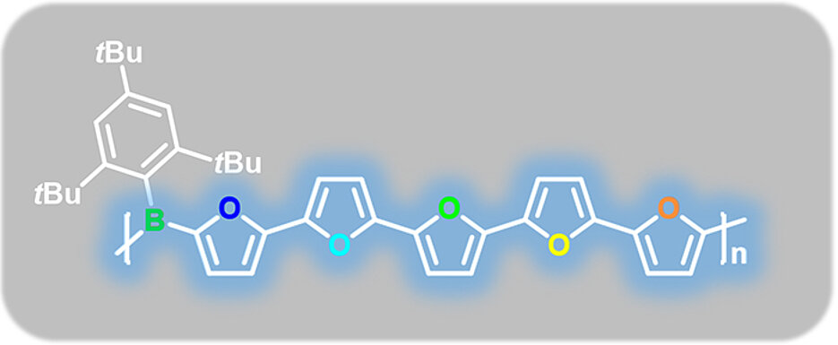 Beispiel für ein borhaltiges Polymer auf Furanbasis. (Bild: Maximilian Fest / Universität Würzburg)