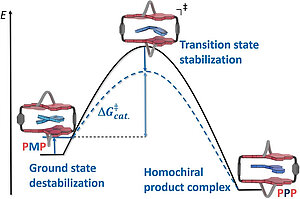 π-π Catalysis Made Asymmetric-Enantiomerization Catalysis Mediated by the Chiral π-System of a Perylene Bisimide Cyclophane