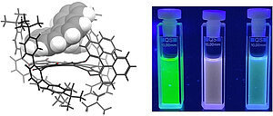 Enantioselective Recognition of Helicenes by a Tailored Chiral Benzo[ghi]perylene Trisimide π-Scaffold