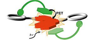 Optical Sensing of Aromatic Amino Acids and Dipeptides by a Crown‐Ether‐Functionalized Perylene Bisimide Fluorophore