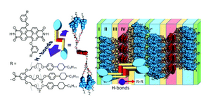 Unfolding multi-stranded perylene bisimide LC columns – a mesogen design for efficient nanoscale multilayer self-assembly