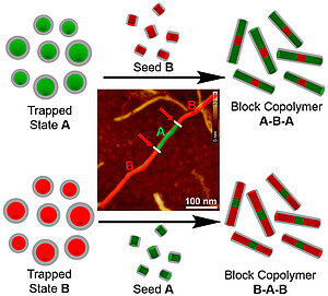 Supramolecular Block Copolymers by Seeded Living Polymerization of Perylene Bisimides