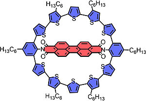 Macrocyclic Donor–Acceptor Dyads Composed of a Perylene Bisimide Dye Surrounded by Oligothiophene Bridges