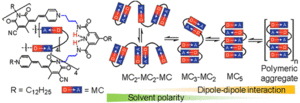 Stepwise Folding and Self-Assembly of a Merocyanine Folda-Pentamer