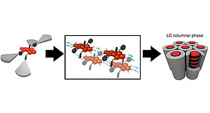 Self-assembly of multi-stranded perylene dye J-aggregates in columnar liquid-crystalline phases