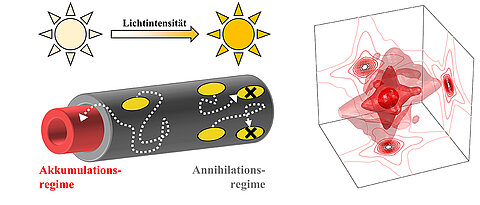 Energietransport in biomimetischen Nanoröhren (links) und dreidimensionales Spektrum (rechts).