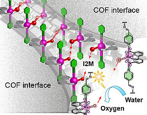 A Covalent Organic Framework for Cooperative Water Oxidation