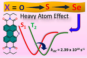 Ultrafast Intersystem Crossing in Selenium-Annulated Perylene Bisimide