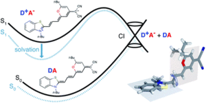 The origin of the solvent dependence of fluorescence quantum yields in dipolar merocyanine dyes