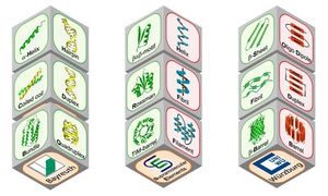 A Periodic System of Supramolecular Elements