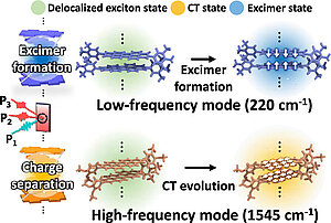 Charge-Delocalized State and Coherent Vibrational Dynamics in Rigid PBI H-Aggregates