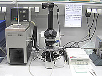 Polarization Microscopy (OPM)