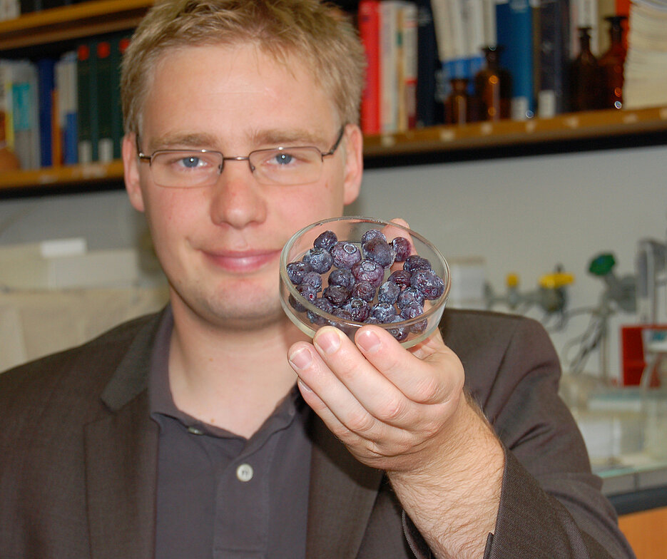 Der Lebensmittelchemiker Bastian Kaupp von der Universität Würzburg zeigt ein Schälchen Heidelbeeren. Foto: Robert Emmerich