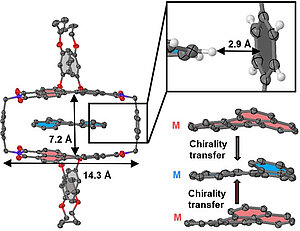 Deracemization of Carbohelicenes by a Chiral Perylene Bisimide Cyclophane Template Catalyst