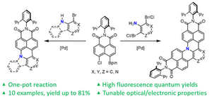 Nitrogen-doped polycyclic aromatic hydrocarbons by a one-pot Suzuki coupling/intramolecular SNAr reaction