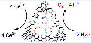 Cooperative water oxidation catalysis in a series of trinuclear metallosupramolecular ruthenium macrocycles