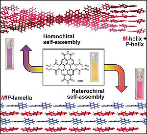 Self-Sorting Supramolecular Polymerization: Helical and Lamellar Aggregates of Tetra-Bay-Acyloxy Perylene Bisimide