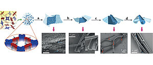 Microtubular Self-Assembly of Covalent Organic Frameworks