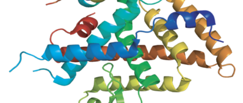 Structure of Liver Receptor Homolog-1