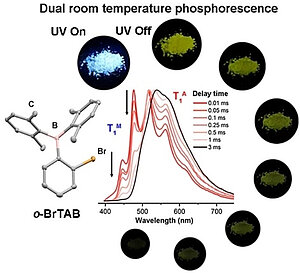 Aggregation-Induced Dual Phosphorescence from (o-Bromophenyl)-Bis(2,6-Dimethylphenyl)Borane at Room Temperature