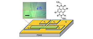 Crystal step edges can trap electrons on the surfaces of n-type organic semiconductors