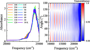 Trapped Exciton and Large Birefringence in Cl2–NDI Revealed by Optical Spectroscopy