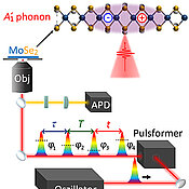 From bottom to top: Laser (oscillator), pulse shaper with generated four-pulse sequence, avalanche photodiode (APD) for detection, microscope objective (Obj), 2D material (MoSe2) with exciton (+/-) and oscillation (A1' phonon).