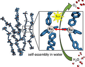 Self-assembled Ru(bda) Coordination Oligomers as Efficient Catalysts for Visible Light-Driven Water Oxidation in Pure Water