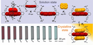 Donor–acceptor complex formation by social self-sorting of polycyclic aromatic hydrocarbons and perylene bisimides