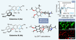 Ealamines A–H, a Series of Naphthylisoquinolines with the Rare 7,8′-Coupling Site, from the Congolese Liana Ancistrocladus ealaensis, Targeting Pancreatic Cancer Cells