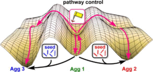 Supramolecular Polymorphism in One-Dimensional Self-Assembly by Kinetic Pathway Control