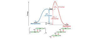 Pathway complexity in the self-assembly of a zinc chlorin model system of natural bacteriochlorophyll J-aggregates.