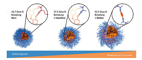 As the loading with curcumin (yellow) increases, the dissolution rate of the containers made of polymeric micelles (blue) decreases. (Image: Ann-Christin Pöppler / Universität Würzburg)