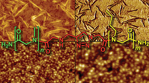 Linking two worlds in polymer chemistry: The influence of block uniformity and dispersity in amphiphilic block copolypeptoids on their self‐assembly