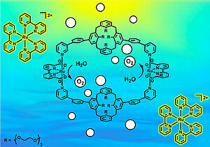 A Calix[4]arene-Based Cyclic Dinuclear Ruthenium Complex for Light-Driven Catalytic Water Oxidation