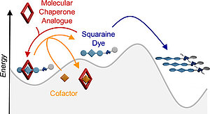 Controlling the Supramolecular Polymerization of Squaraine Dyes by a Molecular Chaperone Analogue