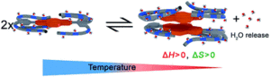 Thermodynamic insights into the entropically driven self-assembly of amphiphilic dyes in water