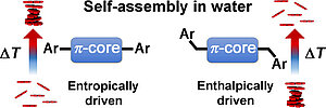 Modulation of the Self-Assembly of π-Amphiphiles in Water from Enthalpy- to Entropy-Driven by Enwrapping Substituents